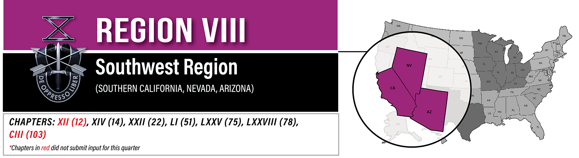 Region VIII banner