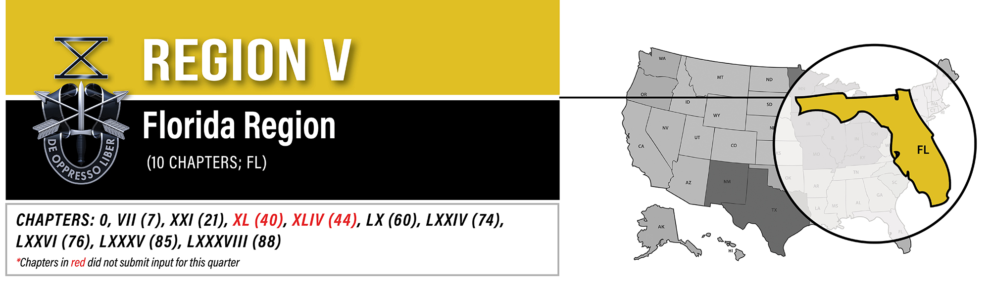 Region V banner